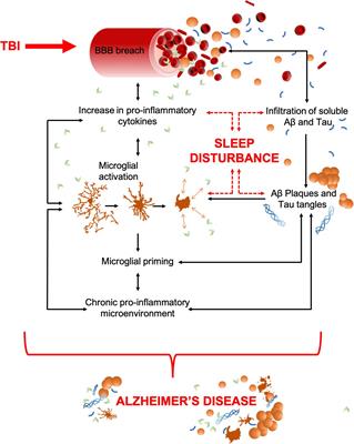 The Bidirectional Relationship Between Sleep and Inflammation Links Traumatic Brain Injury and Alzheimer’s Disease